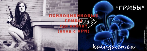 кокс Алексин