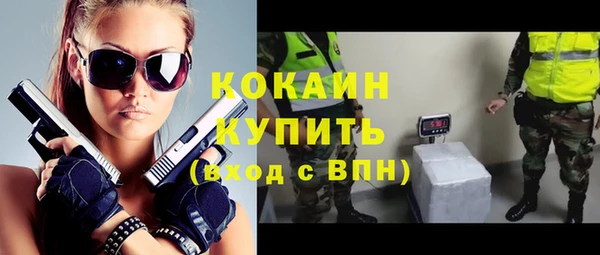 кокс Алексин