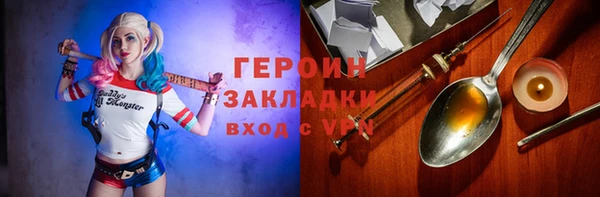 гидра Няндома