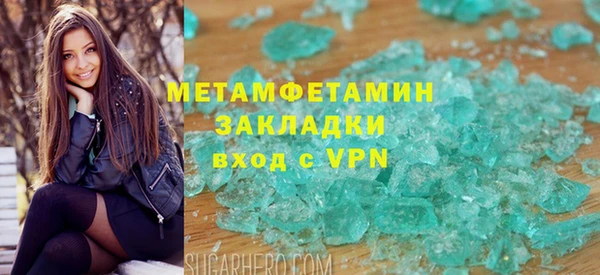 гидра Няндома