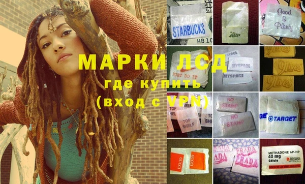 прущие грибы Алексеевка