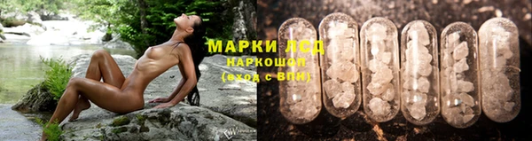PSILOCYBIN Нягань