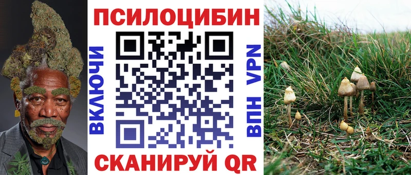 Галлюциногенные грибы мицелий  MEGA ссылка  это состав  купить закладку  Киржач 